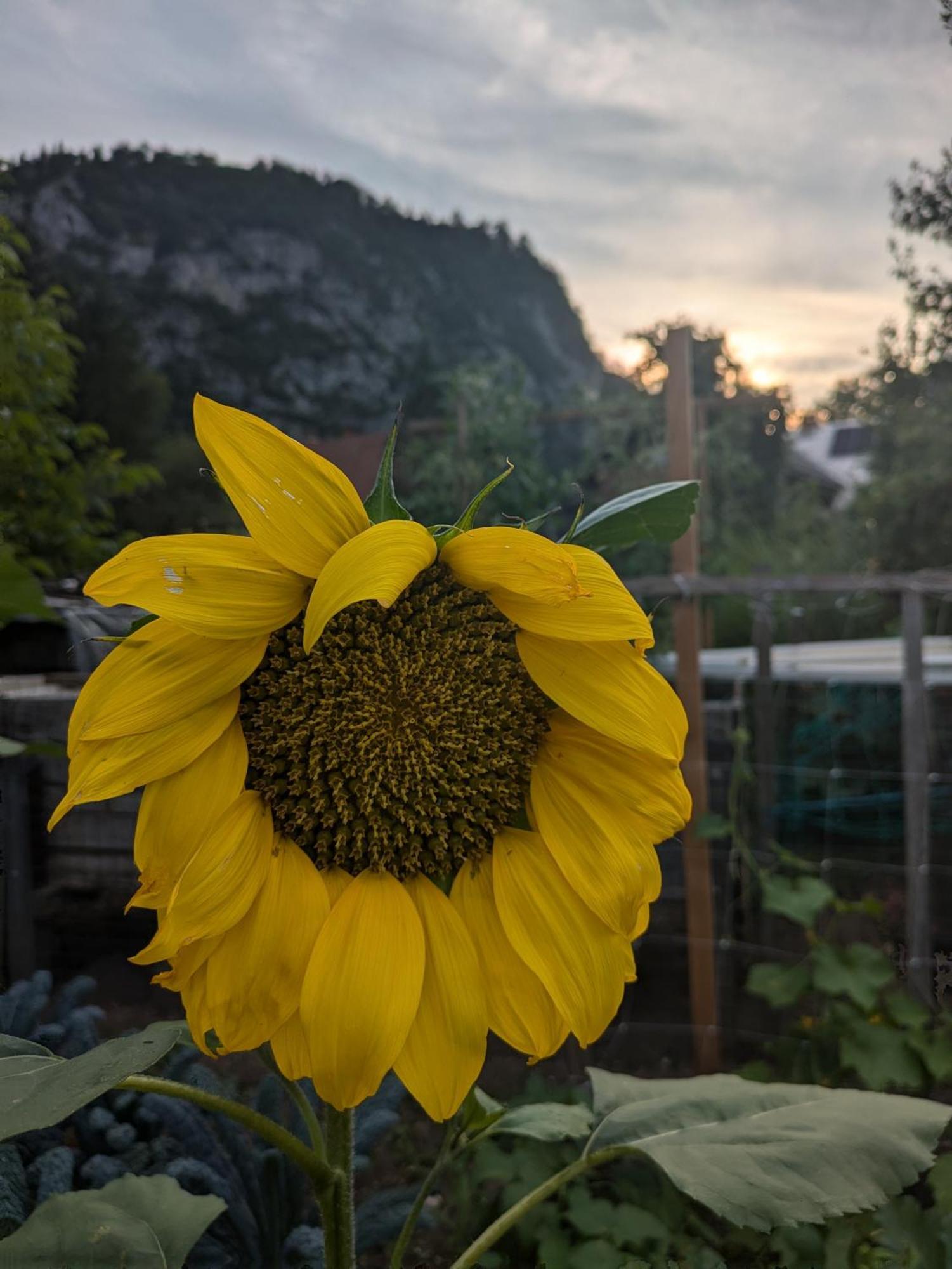 Gorski Biser Mojstrana Exteriér fotografie